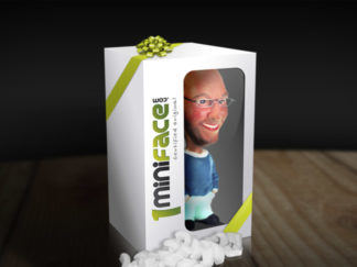 Création webdesign et Flash site 1MiniFace