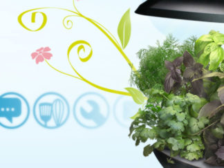 Webdesign site Aerogarden