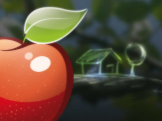 Conception logo et webdesign site Eden Immo