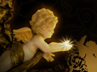 Webdesign site Mireille Oster