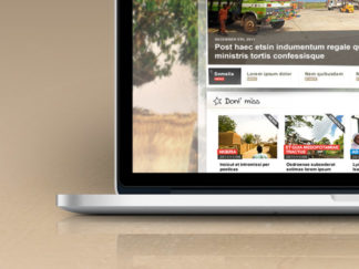 Webdesign The Portal (MSF)