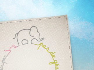 Conception de l'identité visuelle pour Petits Pas Pas de Géant