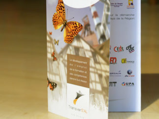 Conception identité visuelle TransverS'AL