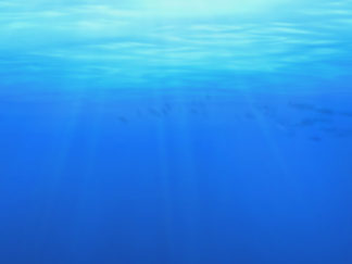 Webdesign site Tropic Nguyen